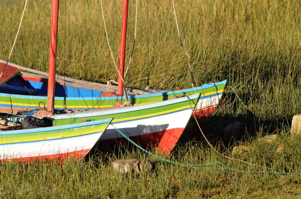 Voyage découverte Pérou lac Titicaca Anapia