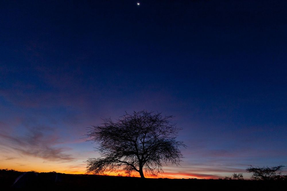 Mauritanie Chinguetti à Tergit