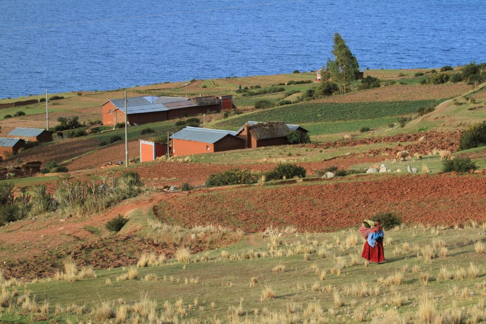 village, péninsule de Chucuito, Lac Titicaca, Pérou