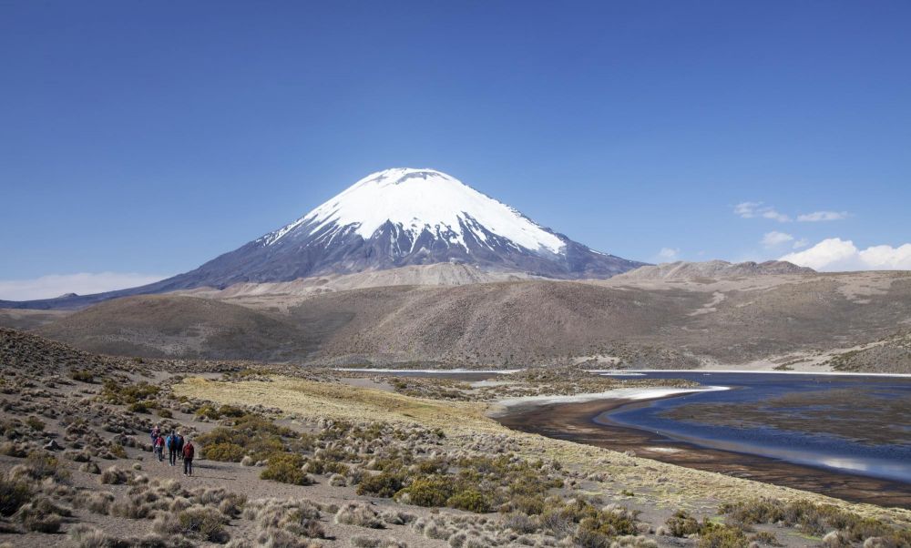 Volcan Parinacota, réserve de Lauca, Chili