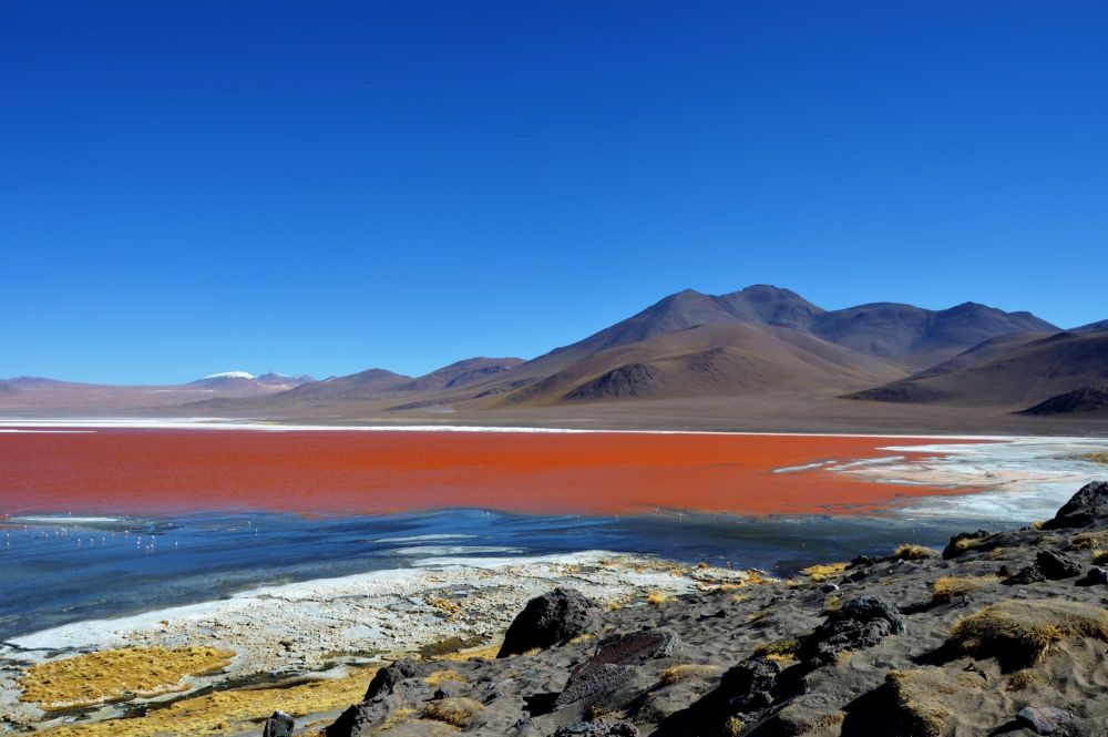 Laguna Colorada, Bolivie