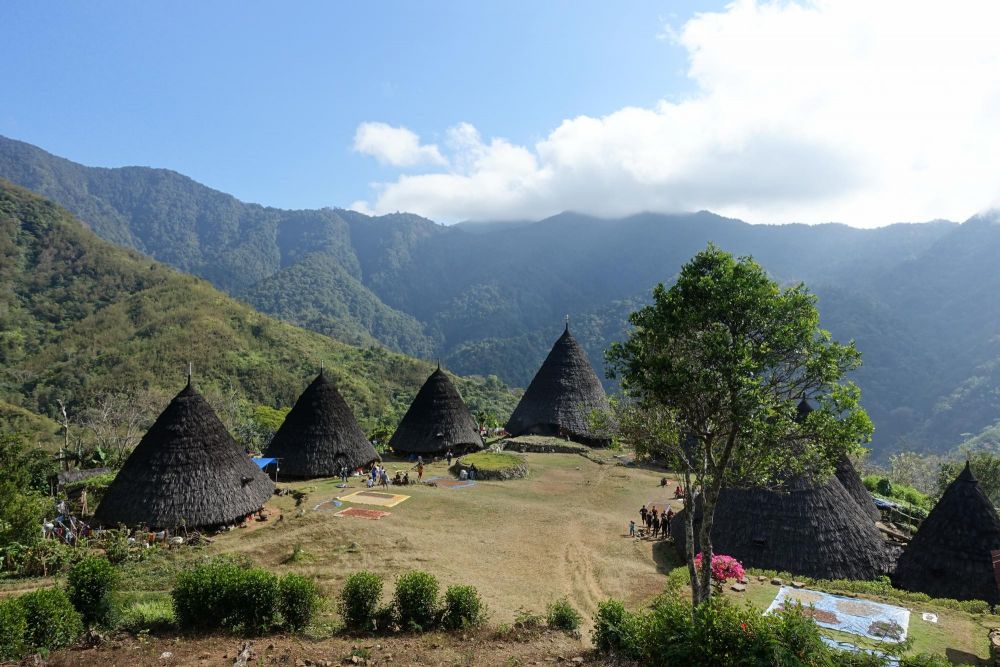 Wae Rebo, village traditionnel de Flores