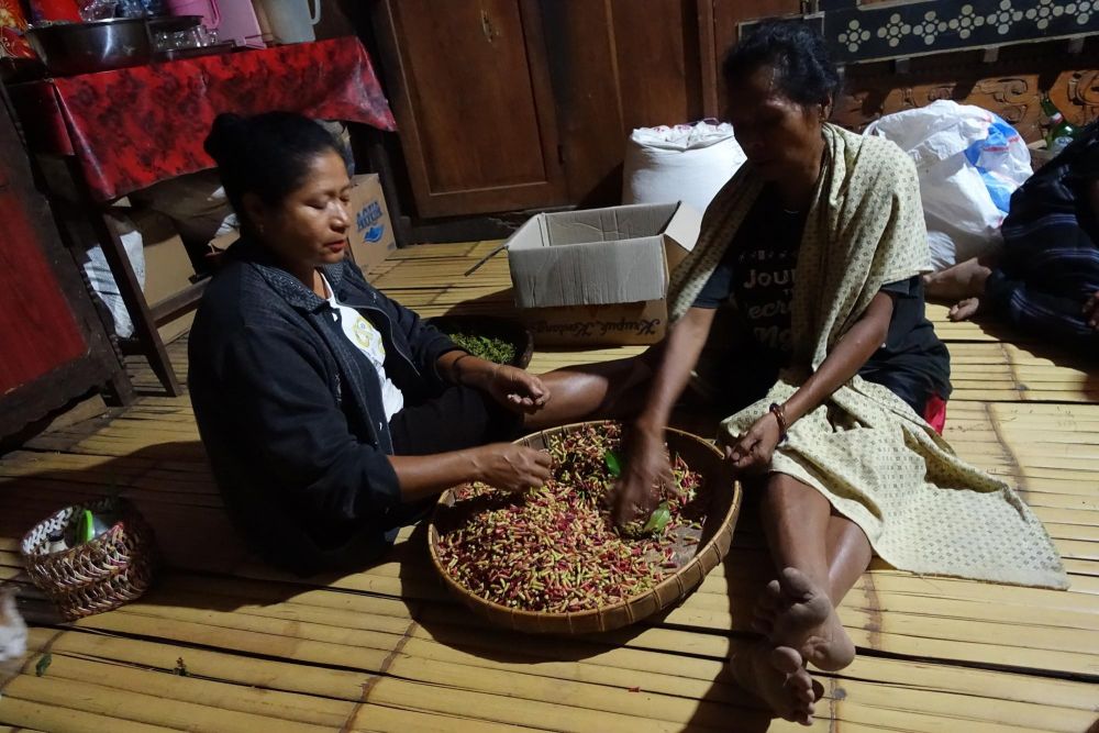 Scène de vie quotidienne d'un village de Flores