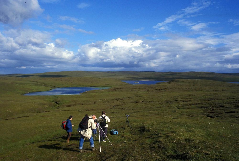 En balade dans les tourbières de Yell