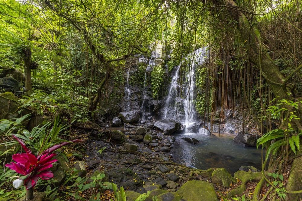 Photo voyage Indonésie 11