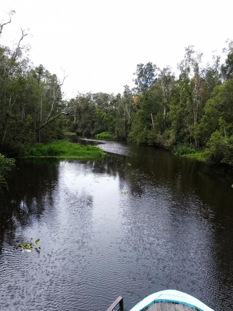 Photo voyage Indonésie 7