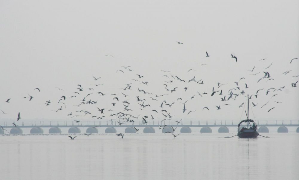 Isabelle Forest Inde Gange (15)