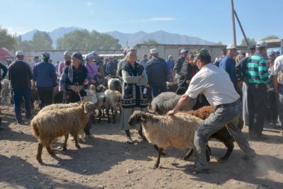 Marché aux bestiaux à Kochkor le samedi