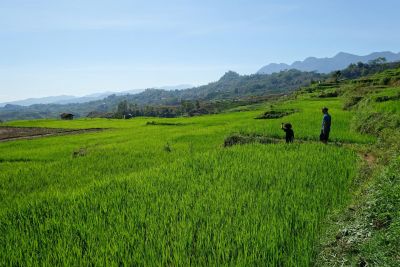 Jour 9 : Denge ou Dintor – Labuan Bajo