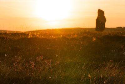 Cercle de Brodgar - pierres levées