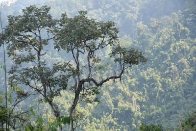Jour 5 - Route à travers le relief d’Arunachal jusque Ziro