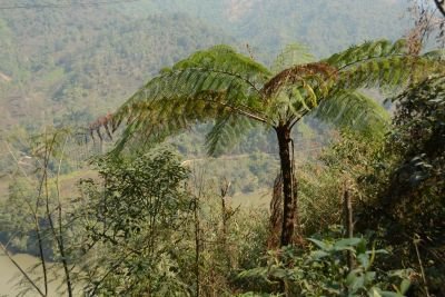 Jour 7 - Route à travers le relief d’Arunachal