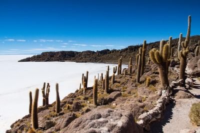 L'île de l'Inca huasi au beau milieu du Salar