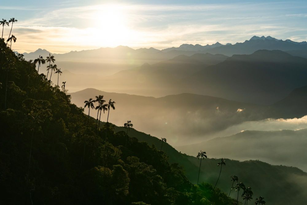 forêt tropicale en colombie - &copy; Sylvain Lefebvre