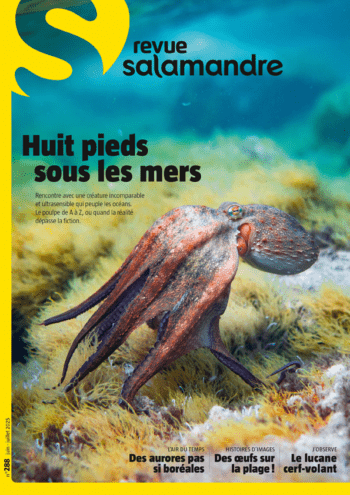 couverture de ùagazine La Salamandre - &copy; La Salamandre
