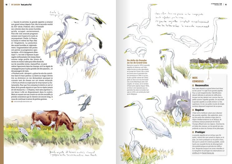 pages interieures du magazine La Salamandre - &copy; La Salamandre