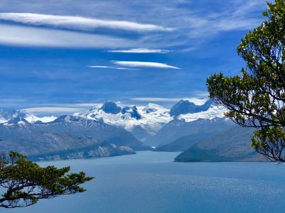 Patagonie - Exploration en Cordillera Darwin : baleines à bosse et canaux de Patagonie