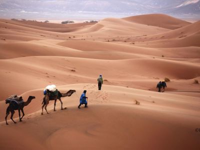 Maroc - Oued Drâa, la rivière sans fin