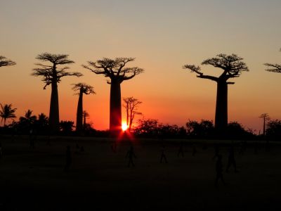 Madagascar - Grand trek dans l'Île rouge