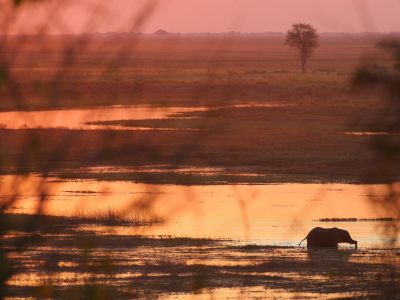 Botswana - Au cœur du Delta de l’Okavango