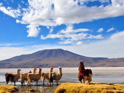 Chili - Randonnées et rencontres en Atacama 