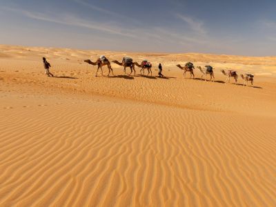 Mauritanie - Des dunes de Chinguetti aux sources de Tergit