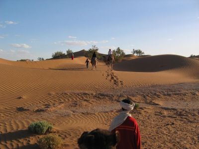 Maroc - Grandes dunes et petits nomades