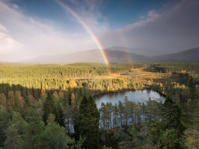 Écosse - Écosse sauvage au cœur des Cairngorms 