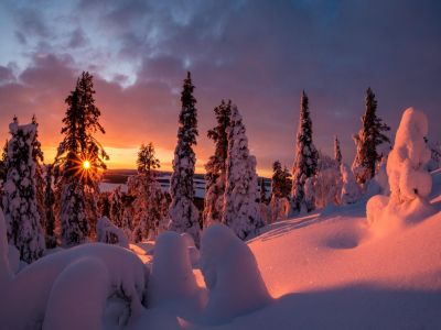 Finlande - Voyage Photo en Laponie : aurores boréales et lumières arctiques