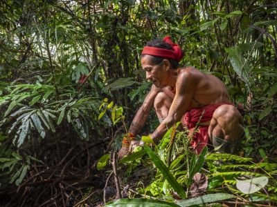 Indonésie - Trek et immersion chez les Hommes-fleurs de Mentawai