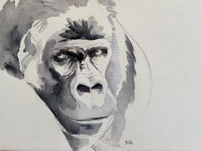 Ouganda - Gorilles : mon carnet de voyage