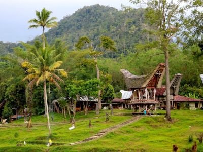 Indonésie - Sulawesi, du pays Toraja aux îles paradisiaques