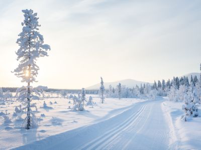 Finlande - Aventure nordique : Explorez Pallas-Yllästunturi en ski de fond