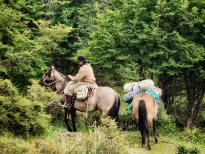 Patagonie - Des estancias de Patagonie aux Gauchos de Terre de Feu